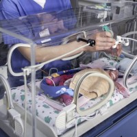 inkubator, novorojenec