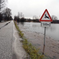 13.12.2017, poplave, ljubljansko barje