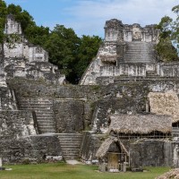 Maji, Tikal