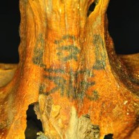 mumija egipt tatu tetovaza