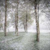 ohladitev, mraz, breze