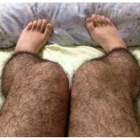 Hairy_legs