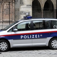 avstrijska policija, splošna