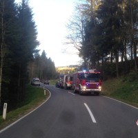 nesreča v gozdu, avstrijski gasilci