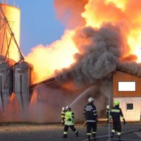 požar, prašičja farma, Dietersdorf