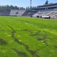 stadion partizan