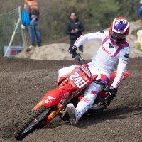 gajser