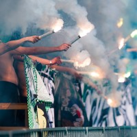 Green Dragons