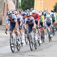 primoz Roglic