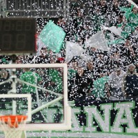 olimpija navijaci