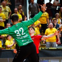 slovan gorenje finale