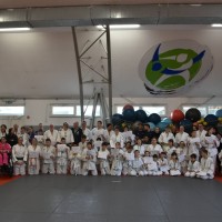 inkluzija judo