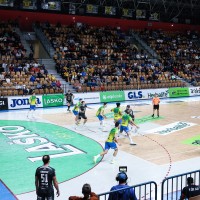 zlatorog trimo celje