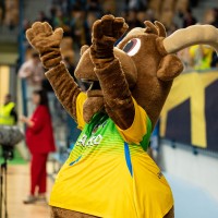celje pivovarna laško