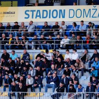 domzale