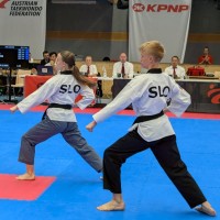 enej alesa gacnik