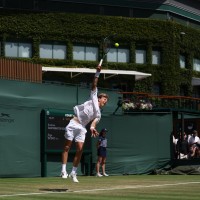 ziga sesko wimbledon