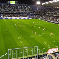 rosaleda1