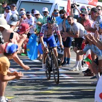 roglic