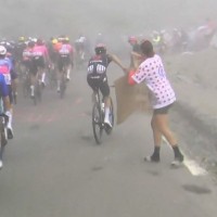alaphilippe