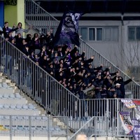 viole gw