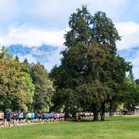 triglav tek
