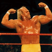 hulk hogan pm