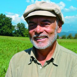 Postvolilni sindrom