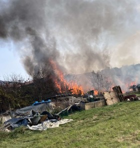 (Foto) Požar barake v Lipi usoden za kokoši in psa