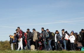 Črni scenarij za Nemčijo: 6,4 milijona migrantov do konca leta