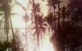 Zaradi požara v indijskem templju pridržali pet oseb