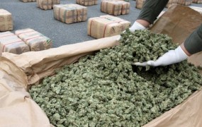 Črnogorci prijeli podjetnega Slovenca s 150 kilogrami marihuane