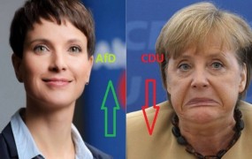 Volilne projekcije: Velike izgube za vladajoči stranki v Berlinu, AfD dosegla dvomestni rezultat 
