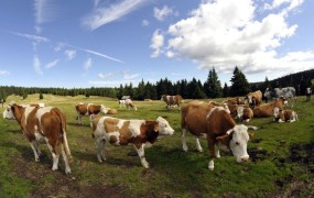 Slovenija izgublja kmetije: 2300 v zadnjih treh letih