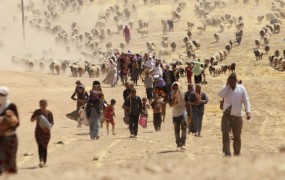 AI: Iraške vladne in paravojaške enote se znašajo nad begunci pred IS