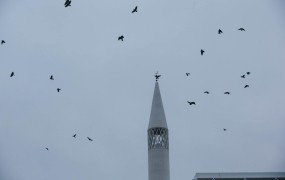 FOTO: Kako so ljubljansko džamijo napadle vrane