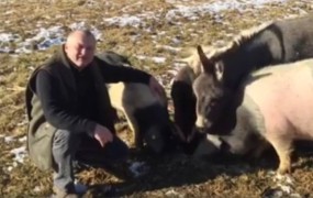 VIDEO: Franc Kangler: »Pujsek prinaša srečo. Želim vam srečno 2017!«
