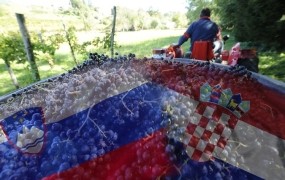 Slovenski proizvajalci terana: Hrvati so ponaredili dokumentacijo