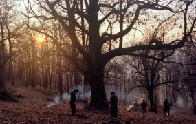 Slovenski kandidat za oskarja je film Zgodbe iz kostanjevih gozdov