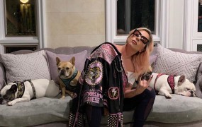 Lady Gaga vrnjena ugrabljena psa