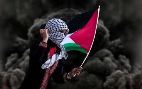 Irska potrjuje, da bo priznala Palestino