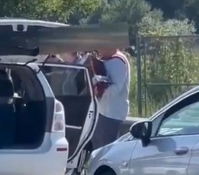 Idiotizem na avtocesti: tovornjakar umrl, ljudje v zastoju pa so igrali harmoniko, sprehajali otroke (VIDEO)