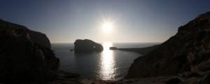 Vitamin D blagodejno vpliva na astmo?