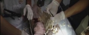 Grozno! Hotela sta umoriti novorojenčka
