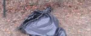 V vrečki za smeti našli ustreljenega, a živega mladega pitbula