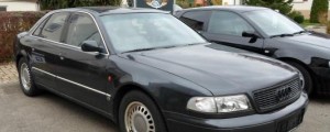 Sleparski Slovak s črnim audijem