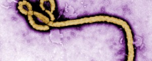Ebola izbruhnila v Atenah