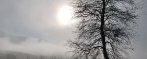 Vreme: Temperature višje, sonca bolj malo