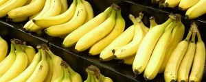 Najbolj priljubljenim bananam grozi izumrtje