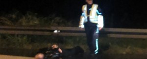 Med begom pred policisti poškodoval najmanj 15 avtomobilov